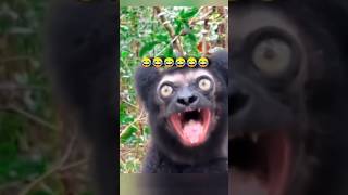 trending funny comedy 🤣🤣 new shorts viral #surajroxfunnyvibeo #garmifunnyvideo