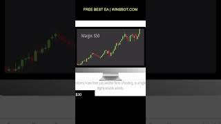 Tutorials Leverage on Forex Trading. #shorts #forextraining #forex