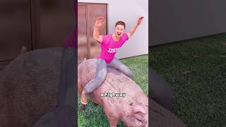 How To Get Rich If You Live Next To Highway🤑