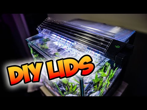 Problems With My Nano Tank | How To Make DIY Aquarium Lids