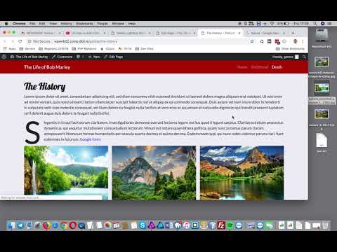 How to create a gallery in Wordpress