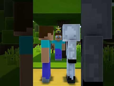 HEROBRINE VS ENTITY #shorts #shortvideo #shortvideostatus  #short #shortsvideo #shortsyoutube