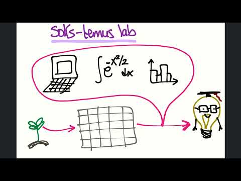 The Solis-Lemus lab (Spanish)