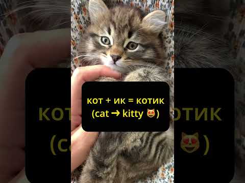 The Russian Language Hack That's Too Cute