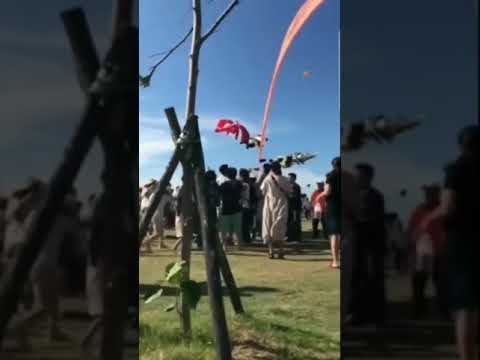 Little kid dragged by kite by Van Halen