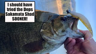 The Deps Sakamata Shad is the Hottest New Bait