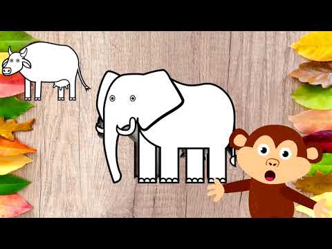 Wrong Wooden Slots with Indian Animals   Videos For Kids