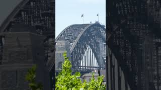 "Sydney Where the City Dances with the Sea 🌊🏙️#SydneyTravel #ExploreSydney #SydneyHarbor