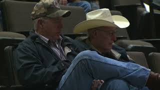 Livestock Marketing - Nov. 11, 2023
