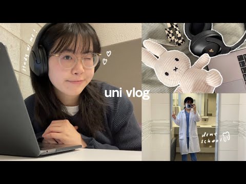 uni student life: dental school diaries, 6:30 am mornings, lots of studying, lunar new year 🐇!