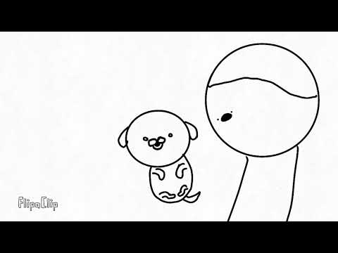 You are adopted (Canal Almofadinha de Prego)