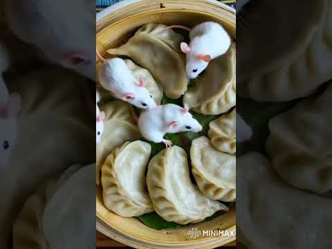 Momos that we can't eat #ai #imagetovideo #artificialintelligence