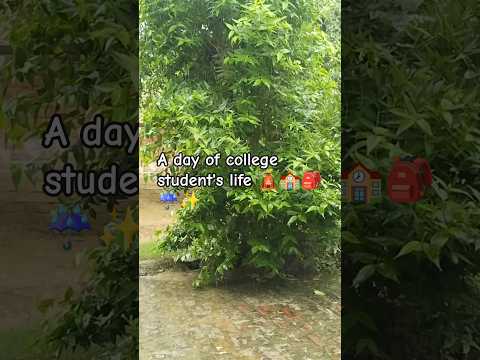 Another day of my life #date #friends #travel #collegelife #ytshorts #viralshorts