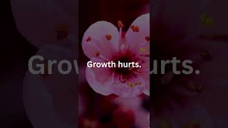 Stay uncomfortable. Stay growing | Think Relentless Motivation