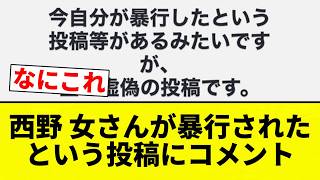 [This is a 'Woman'] Comments on the post claiming Nishino-onna was assaulted [Pro Baseball Reacti...