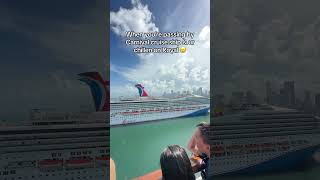 Which one would u decide 😭 #royalcaribbean #carnivalcruise #royalcaribbeancruisevlog #travelvlogs