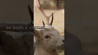 Adjusting to Culture Shock in Europe (Tips + Stories)