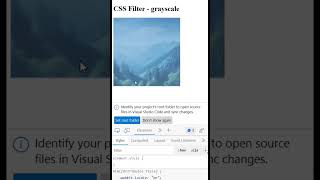CSS Filter grayscale #css #css3 #filter #grayscale #csstips #html #webdesign #interviewpro