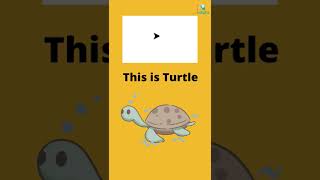 Basic Part - 1 | Lets Get Started with Turtle Library of Python | Python Library - Turtle E-02