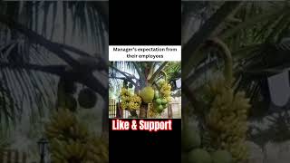 Manager expections from Employees #job #funny #itjobs #salary #work