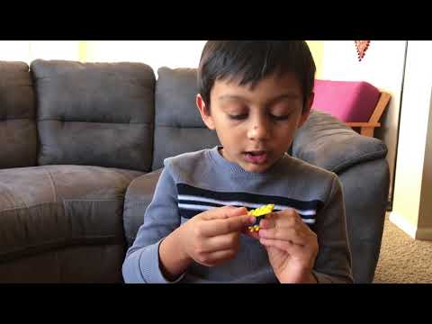 How to make a Bird with Classic Legos?