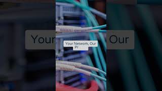 Reliable Network Wiring Installation for Speed & Stability ✅ | #NetworkWiring #StructuredCabling