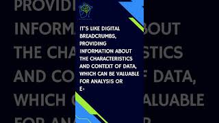 Metadata: How Much Can Your Data Reveal About You? #shorts #cybertips