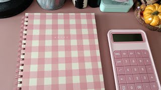 Cash Stuffing 2025 | Reallocation & Binder Count Up | Low Income Budget 