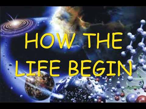 The origin of life - How the life begin on earth