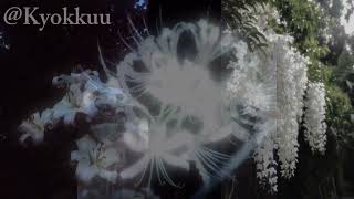 Random edit audios I found on flowers (+timestamps)