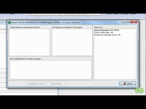 13 TopTouch: project language management
