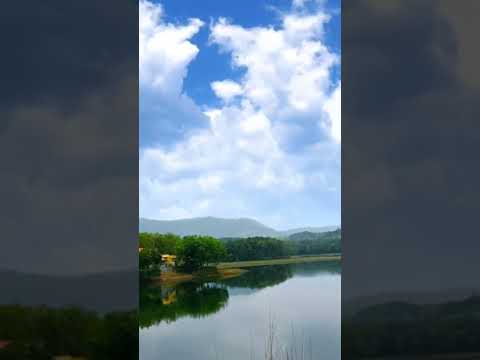chittar dam 2, near netta, ACHAYAN'S FAMILY RESTAURANT