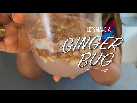 Let's Make A Ginger Bug