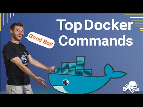 Basic Docker Commands | Tutorial for Beginners | Useful List with Examples - Sematext