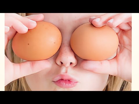 Free Range Organic Eggs