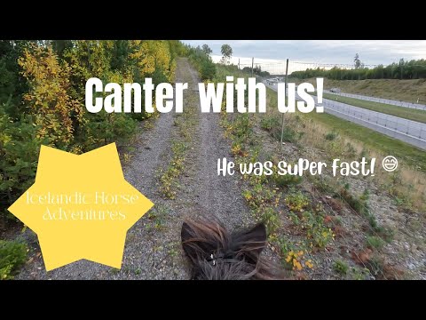 Canter fast with us!