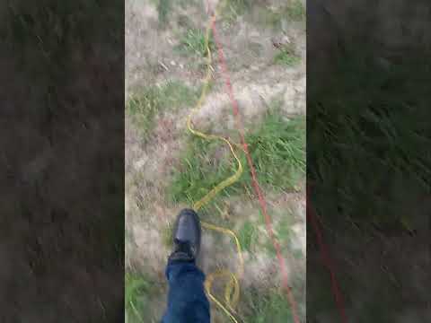 How to check the earth resistance value through Digital Earth meter #Digital #Earthing #Meter