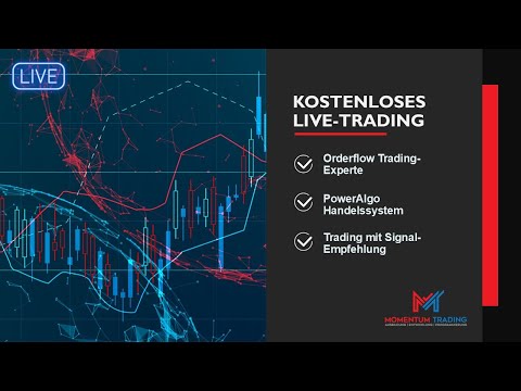 Live Trading mit PowerAlgo Handelssystem und Trading Experte von MomentumTrading 28.08.24