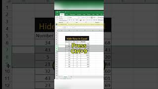 Excel Formulas #exceltutorial #exceltricks #excelformulas #excelshorts #excellearning #excel