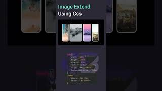 css project | css begginer project | css mini project #codelife #coding #cssproperty