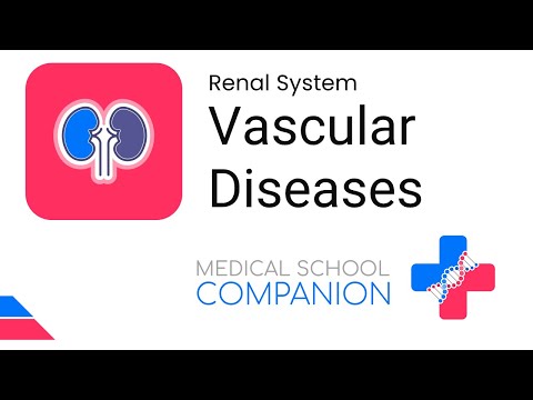Vascular Diseases of the Kidney