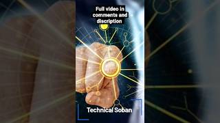 free SQL course #viral #coding #udemy #udemycourse #fact #course #udemyfree #sql #android
