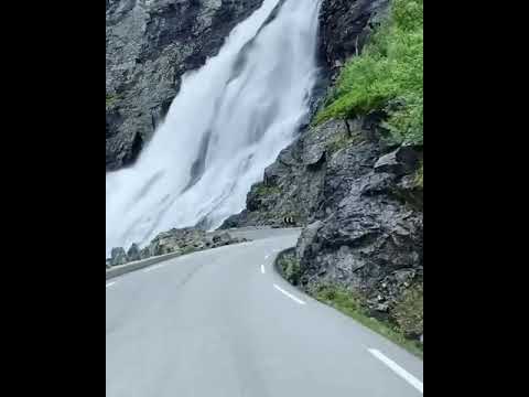 With whom you wanna travel on this beautiful road