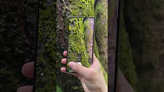 Capturing The Moments: Samsung S24 Ultra Camera Quality Test