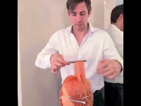 hair cuting