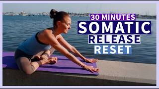 Beginner Somatic Yin Yoga | Deep Stretch Release Cortisol + Reset  Vagus Nerve Stimulation | 30 mins