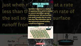 Sprinkler irrigation system l #sprinklerirrigation #irrigation #shorts