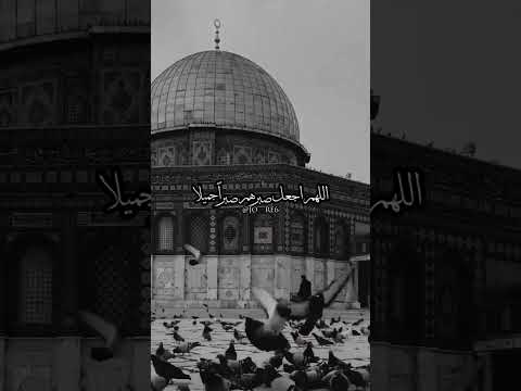 اللهم انصر اهل غزه و فلسطين اللهم امين يارب العالمين ❤️ #اكسبلور #غزة #فلسطين