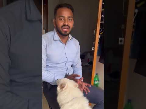 #comedy pet animals 😅