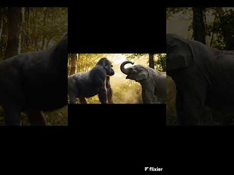 Gorilla vs Elephant: Ultimate Jungle Standoff 💥🦍🐘